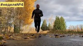 Подготовка к триатлону #неделя№4 #триатлон #ironman #железныйчеловек