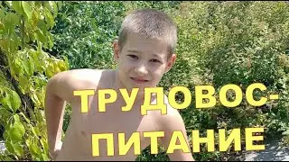 ТРУДОВОСПИТАНИЕ 💪💪
