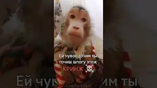 Эй чувак зачем ты точишь шпагу 🤺 