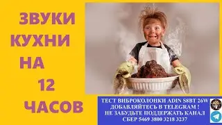 476. Ответ шумным соседям. Звуки кухни