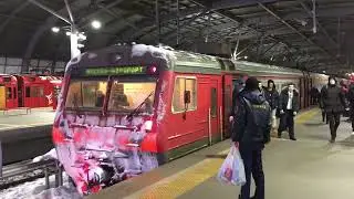 How to get from Domodedovo Airport to Moscow by train