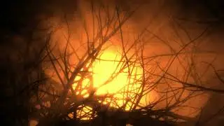 Yellow Moon in Trees Halloween 4K