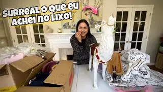 Surreal o que eu achei no lixo dos Estados Unidos!🇺🇸
