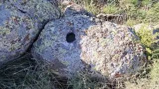 Kaplumbağa Hazinesi Bulma Anı treasure