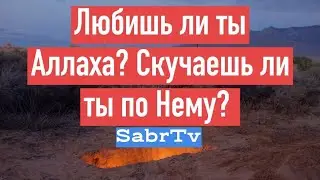 Любишь ли ты Аллаха? Скучаешь ли ты по Нему?