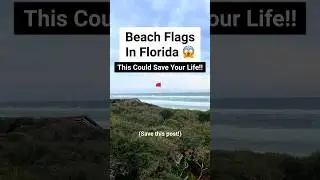 📍 Beach Flags in Florida! 😱 #floridatravelFlorida #safety #floridabeaches #travel #traveltips