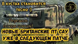 Нам нужны большие кусты • Новые ПТ САУ уже в 6.0 • WoT-Blitz || Boom Pro 216