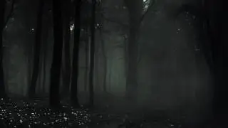 Den Slenderman im Wald beschwören...