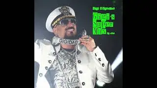 Gigi D'Agostino - Gigi's Super Mix