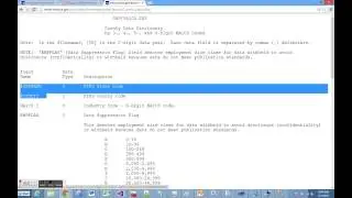 Data warehouse project - US County Business Patterns - Explore/Identify the data