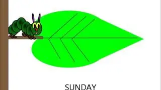 The very hungry caterpillar. The cartoon.