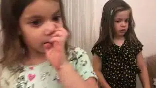sde tsvi   small