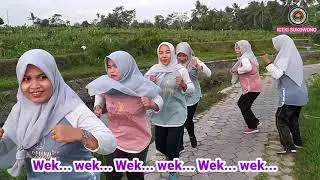 gerak dan lagu anak paud terbaru 