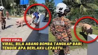 VIRAL, BILA ABANG BOMBA TANGKAP BABI, TENGOK APA BERLAKU LEPASTU..