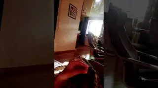 Как Сделать YTPMV Scan 