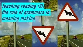 Teaching reading (3): The role of grammar/s in meaning making