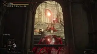 Nice shot