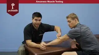 Anconeus Muscle Test Palp Dr Vizniak Muscle Manual