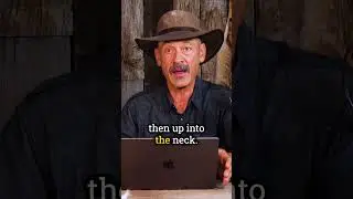 How to Drop an Animal