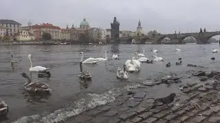 ПРАГА - один из самых красивейших городов мира.