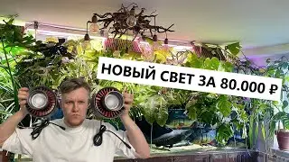 Меняю в домашнем аквариуме свет за 8000 ₽ на свет за 80000 ₽ / Стоит ли оно того?  / Ledstar tyndall