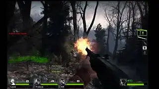 weird steam glitch? (L4D2)