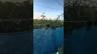 Nok bogi Yaponiya