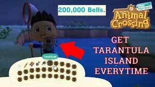 HOW TO GET TARANTULA ISLAND EVERY TIME!!! (Quick Bells Guide) | Animal Crossing New Horizons