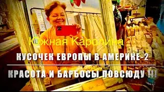 КУПИЛА СОВУ! Красота графства Гринвилл в Каролине!!! Весна пришла и город оживает…*** 