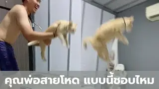 คุณพ่อสายโหด คุณลูกจะว่ายังไง