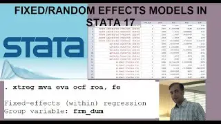 Fixed and Random (Panel Effects) Model in STATA 17 (Firm's Data)