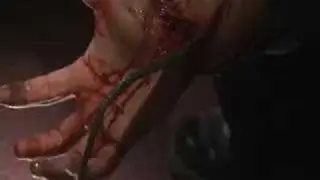 Snakes On A Train Trailer