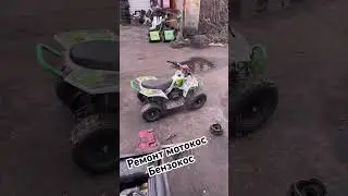Ремонт мотокос спарта Oleo Mac в Киеве