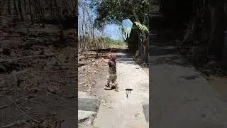 NGOCOL LAJENGAN