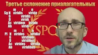 Латинские прилагательные 3 склонения.