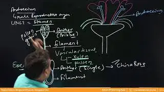 Sexual reproduction of flowering plants | Lecture -01 Class - NEET TARGET English
