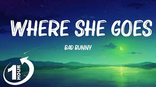 [ Loop 1Hour ]  Bad Bunny - WHERE SHE GOES (Letra/Lyrics)
