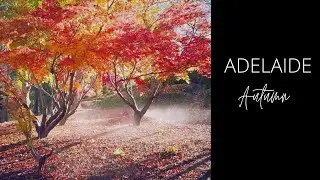 Autumn na sa Adelaide mga Besh || Darling Bilsborow Photography