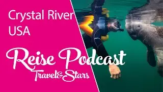 Crystal River: Die Hauptstadt der Manatees