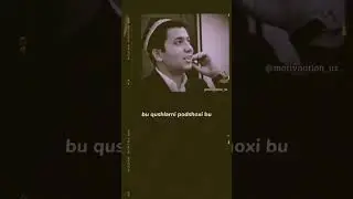 Burgut bo'lib tug'ulish kerak ekanda....