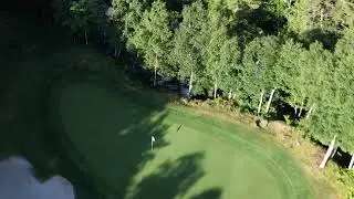 An Eagle-Eye View of Some Birdie Holes