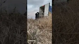 Жахи війни 