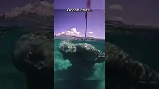 Strangest Things Found Under the Sea