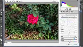 Adobe Photoshop CC Çiçek Resmi Düzenleme