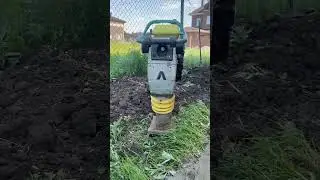 Как вам Усы этого парня?