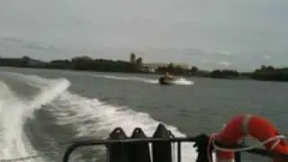 Whale of a Time boat trip