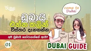 අපි ඩුබායි තෝරාගත්තේ ඇයි? How to choose a country to relocate - moving to Dubai