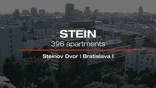 STEIN