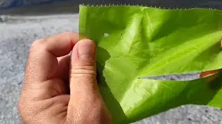How to repair tents and tarps without expensive repair kits