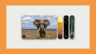 How To Create Expanding Image Gallery Using HTML And CSS | Expandable Card on Hover @mrcodebox33